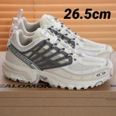 2025年最新】SALOMON FALCONの人気アイテム - メルカリ
