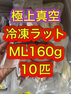 2025年最新】冷凍 ラットの人気アイテム - メルカリ