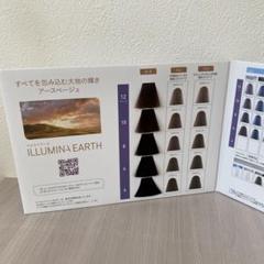 セグベルカラー　新品84本 コスパ最強カラー剤！セグベル｜浸透力と潤いの大容量ヘアカラー