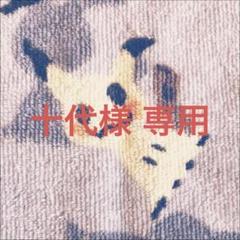 遊戯王 絢嵐豪火フォニクス プリズマティックシークレット