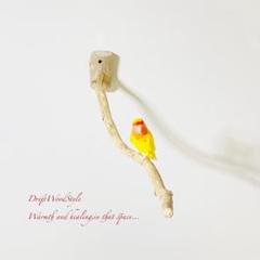 止まり木鳥 2 | rojinosora