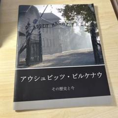 【一時値下げ中】Richter \