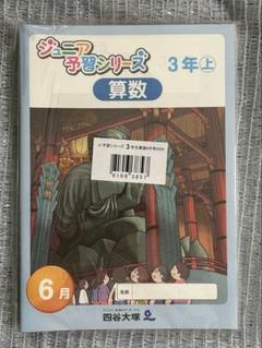 予習シリーズ　3年生　算国　６月