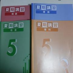 四谷大塚5年生 社会・理科・算数・国語問題集上下、夏期講習セット 四谷大塚 小5 夏期講習 国語/算数/理科/社会 書き込みなし 2022