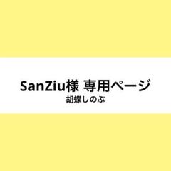 SanZiu様 ウィッグオーダー お見積もりページ - メルカリ SanZiu様 ウィッグオーダー お見積もりページ - メルカリ