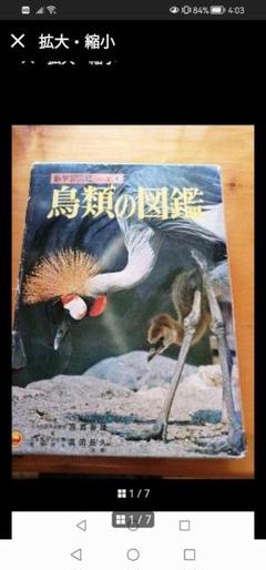 ‼️希少本‼️　新学習図鑑シリーズ 鳥類の図鑑　昭和49年発行
