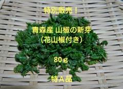 専用ページ!!終了間近！青森県産 花山椒 200g A品 2025年最新】青森県産花山椒の人気アイテム - メルカリ
