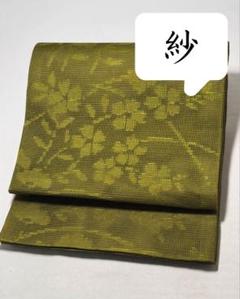 [美品] 紗　夏帯　名古屋帯　正絹　緑　桔梗　撫子　夏着物　小紋　紬　無地