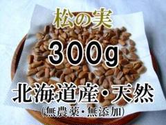 2025年最新】殻付き松の実の人気アイテム - メルカリ