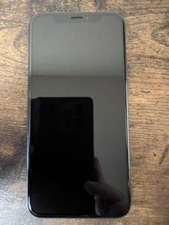 日本最級 Space Xs 【tkhs18様専用】iPhone Gray GB 256 - スマートフォン本体
