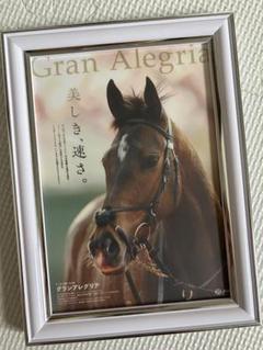 競馬　ポスター　タスティエーラ　大特価 2025年最新】競馬ポスターの人気アイテム - メルカリ