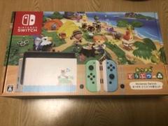 Nintendo Switch どうぶつの森