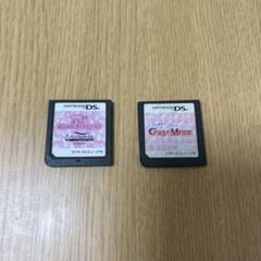 ニンテンドーDS ゲーム2本セット