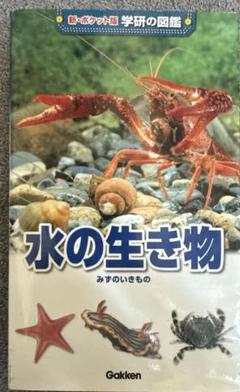 水の生き物