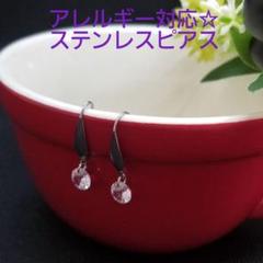 新品送料無料☆ジュエリーボックス付き☆サ-ジカルステンレス☆ジルコンピアス