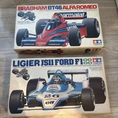 Rare kit Fujimi 1/20 Grand Prix series Brabam BT46 1977