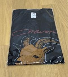 chevon FC限定グッズ 谷絹 茉優 on X: 