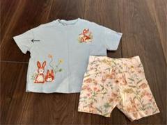 NEXT セットアップ