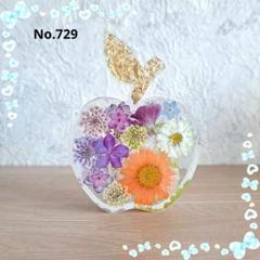 No.729 りんごの置物♡固まるハーバリウム