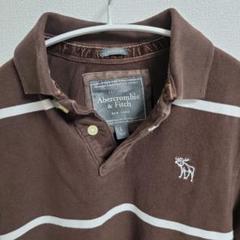 Abercrombie & Fitch ブラウンストライプポロシャツ L