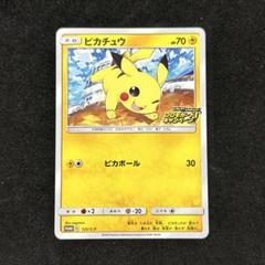 真夏のピカピカ大作戦　フルコンプ　非売品　ピカチュウ ポケモンセンター 真夏のピカピカ大作戦 ピカチュウ 2枚セット