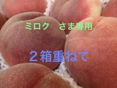 山梨の甘い桃　特大サイズを6個詰めて発送 ももやのきよし 山梨の甘い桃 特大サイズを6個詰めて発送 料金据え置き ももやの