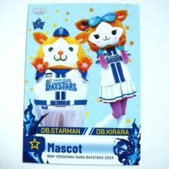 【XL】横浜ベイスターズ　DB.スターマン　パーカー　非売品　DeNA Seiji Matsumoto/プルオーバーパーカー/DB.スターマン/ホワイト