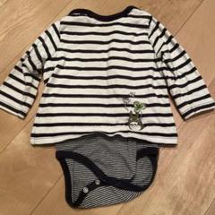 プチバトー　スタジオジブリ トトロカットソー