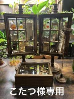 こたつ様オーダーメイド品