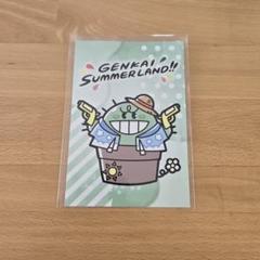 限界 サマーランド サマラン ポストカード　ぐちつぼ