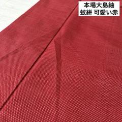 真綿紬 蚊絣柄 色味の良い 素敵なデザイン 正絹 T-6245 - メルカリ