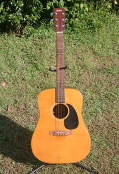 昭和レトロ タカミネ TAKAMINE Elite アコースティックギター Elite TW-20 1970年代 中古 149523 Elite【楽器検索｜Jギター】