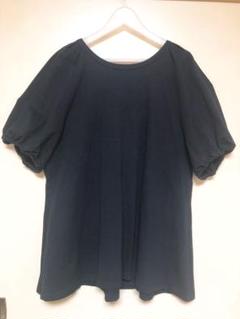 極美品✨フロッキーフラワーバックリボンブラウス　ローズティアラ　46 大きい 110228303640506002?$VS_1500$