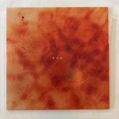 D.A.N. Sonatine LP アナログレコード 廃盤