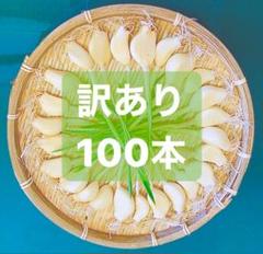 【発芽にんにく訳あり100本】