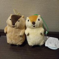 マーモットのもっとっとモア VMC マスコット ぬいぐるみ ２種類