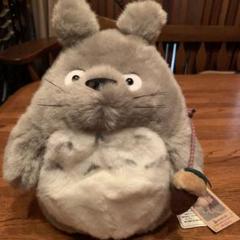 激かわ❤️となりのトトロリュック⭐︎平成レトロ♡レア♡ 激かわ❤️となりのトトロリュック⭐︎平成レトロ♡レア