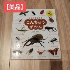 美品★じぶんでよめる こんちゅうずかん