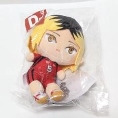 ハイキュー!!　ぬいもっちマスコット D賞 孤爪研磨