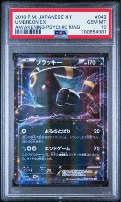 ブラッキーEX RR PSA10 ポケモンカード ブラッキーex rr psa10