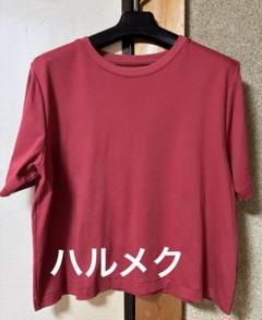 コットンTシャツ★ハルメク★半袖Tシャツ★カットソー★L