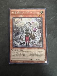 白き森　カードセット 白き森 - カードラッシュ[遊戯王]