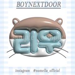 Amazon.co.jp: 公式 boynextdoor リウ うちわ 'ONEDOORful Day