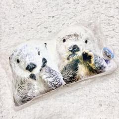 鳥羽水族館 ラッコ キラ メイ クッション 抱き枕 実写 フェイス