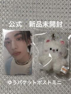 専用　ハン　バンチャン　アイエン　マイクロキーリング Stray Kids SKZOO KEYRING MICRO Ver. - SKZ 5'CLOCK - JYP SHOP