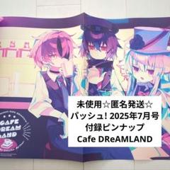 2025年最新】雑誌ピンナップの人気アイテム - メルカリ