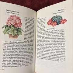洋書古書 植物画　イギリス　植物図鑑 82③イギリス植物図鑑 ビンテージ洋書古書 ボタンニカルアート