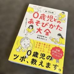 0歳児とのあそびかた大全