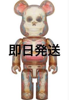BUNGY shelterbank シェルターバンク Amazon.co.jp: シェルターバンク shelterbank shelter bank