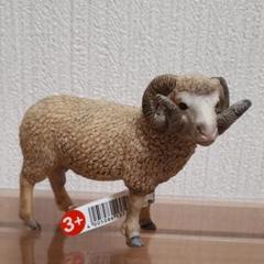 シュライヒ ヒツジ